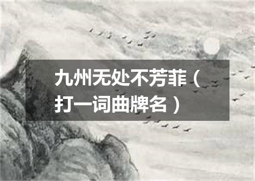 九州无处不芳菲（打一词曲牌名）