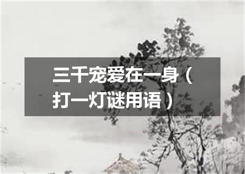 三千宠爱在一身（打一灯谜用语）