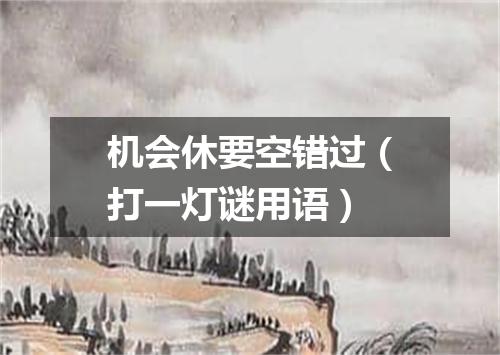 机会休要空错过（打一灯谜用语）