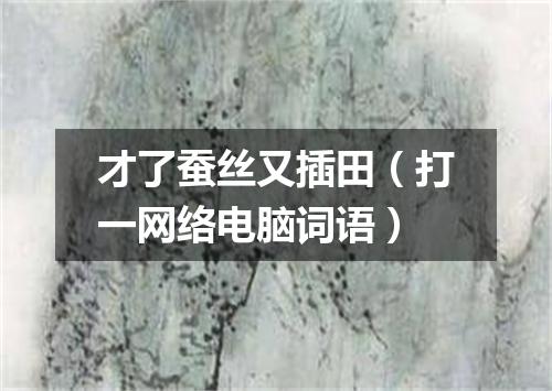 才了蚕丝又插田（打一网络电脑词语）