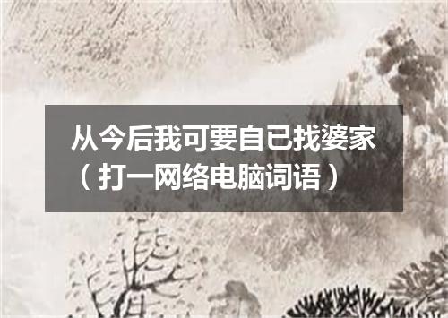 从今后我可要自已找婆家（打一网络电脑词语）