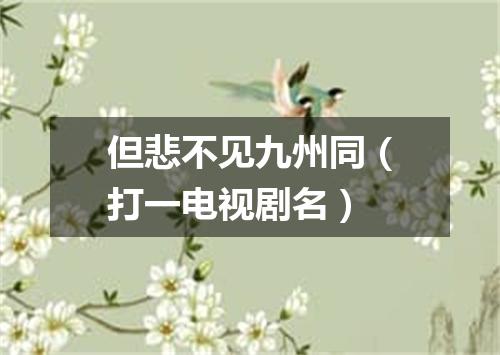 但悲不见九州同（打一电视剧名）