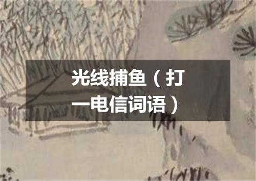 光线捕鱼（打一电信词语）