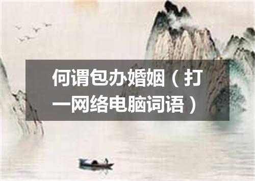 何谓包办婚姻（打一网络电脑词语）