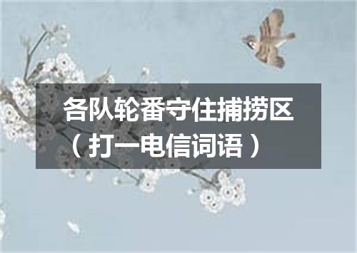 各队轮番守住捕捞区（打一电信词语）