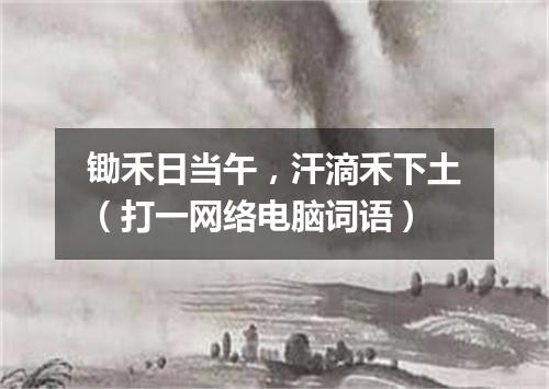 锄禾日当午，汗滴禾下土（打一网络电脑词语）
