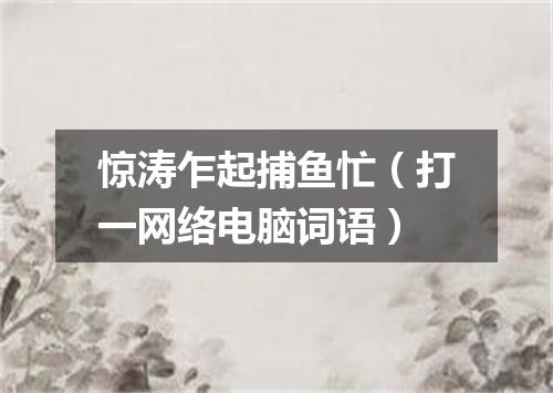 惊涛乍起捕鱼忙（打一网络电脑词语）