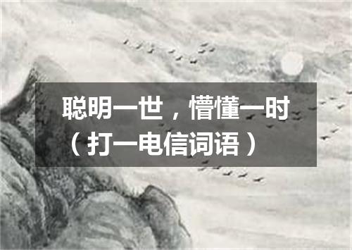 聪明一世，懵懂一时（打一电信词语）
