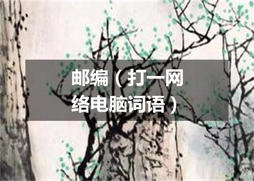 邮编（打一网络电脑词语）
