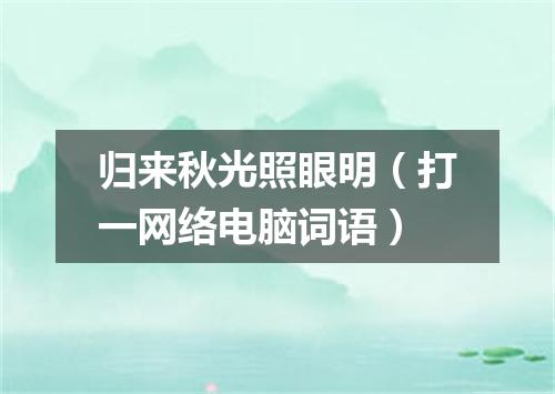 归来秋光照眼明（打一网络电脑词语）