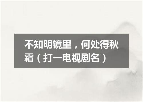 不知明镜里，何处得秋霜（打一电视剧名）