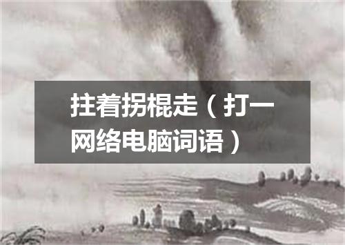 拄着拐棍走（打一网络电脑词语）