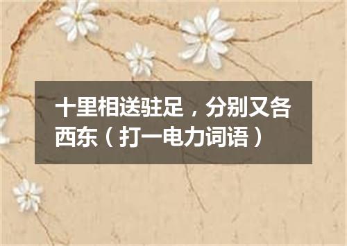 十里相送驻足，分别又各西东（打一电力词语）