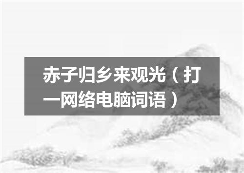 赤子归乡来观光（打一网络电脑词语）
