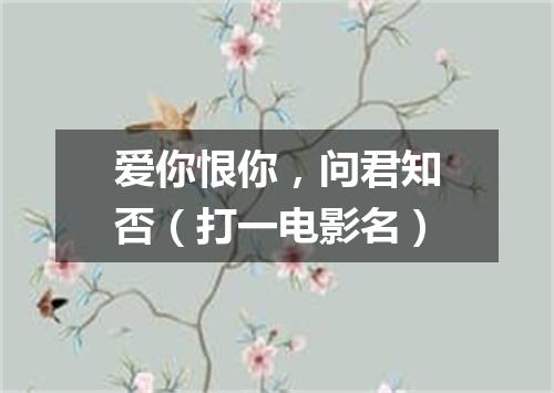 爱你恨你，问君知否（打一电影名）
