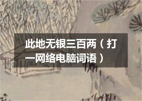 此地无银三百两（打一网络电脑词语）