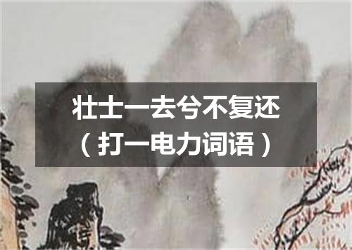壮士一去兮不复还（打一电力词语）