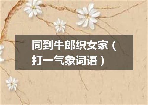 同到牛郎织女家（打一气象词语）
