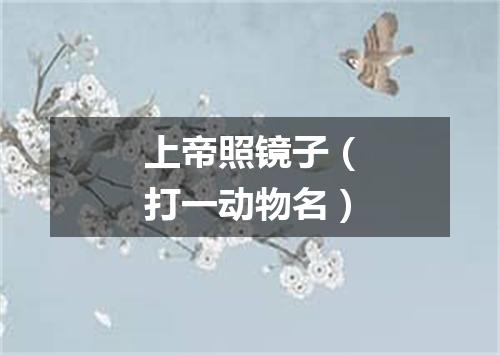 上帝照镜子（打一动物名）
