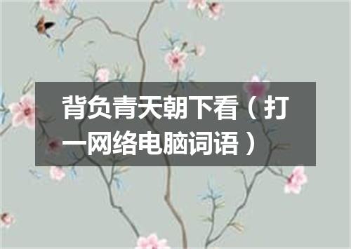 背负青天朝下看（打一网络电脑词语）