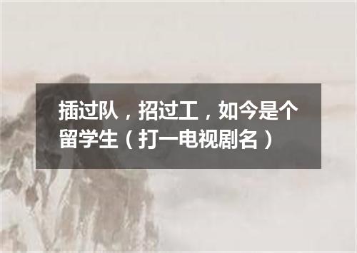 插过队，招过工，如今是个留学生（打一电视剧名）