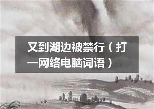 又到湖边被禁行（打一网络电脑词语）