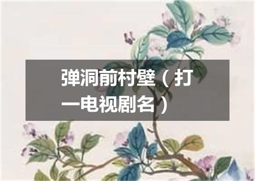 弹洞前村壁（打一电视剧名）