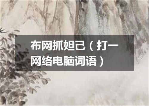 布网抓妲己（打一网络电脑词语）