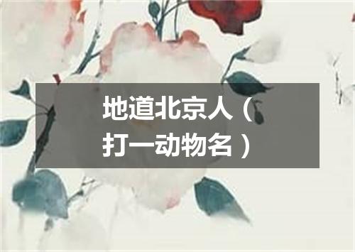 地道北京人（打一动物名）