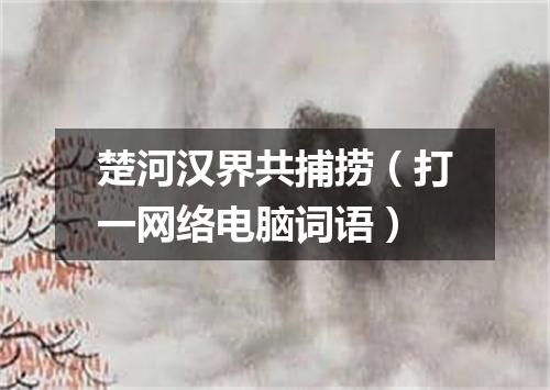 楚河汉界共捕捞（打一网络电脑词语）