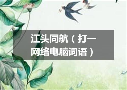 江头同航（打一网络电脑词语）