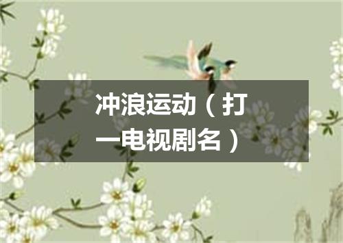 冲浪运动（打一电视剧名）