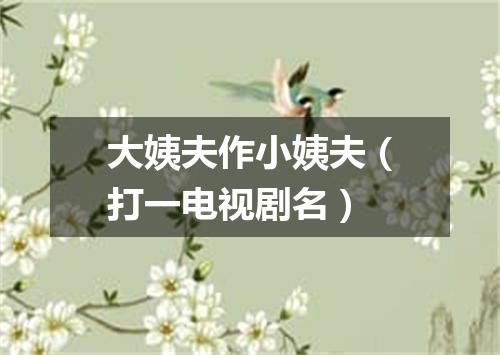 大姨夫作小姨夫（打一电视剧名）