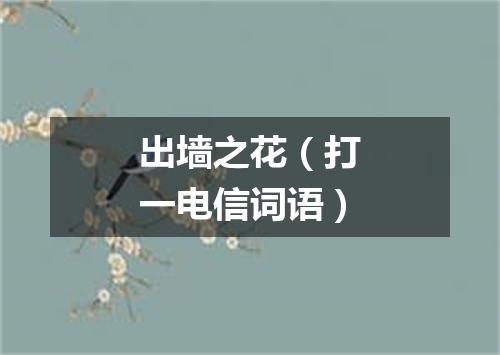 出墙之花（打一电信词语）