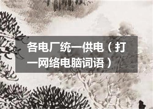 各电厂统一供电（打一网络电脑词语）