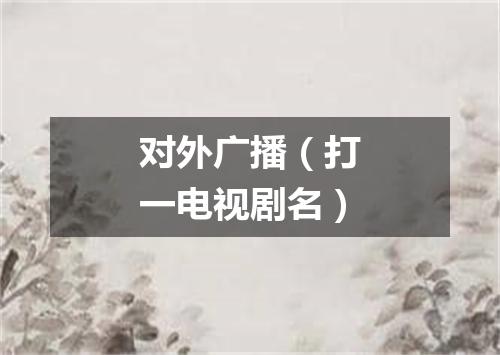 对外广播（打一电视剧名）