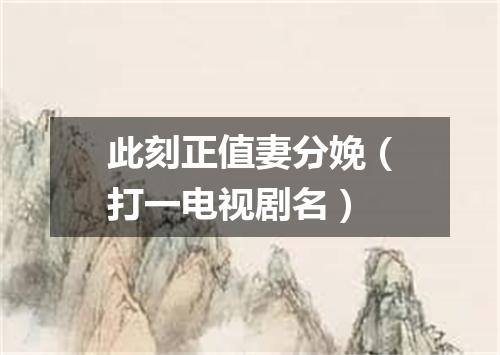 此刻正值妻分娩（打一电视剧名）