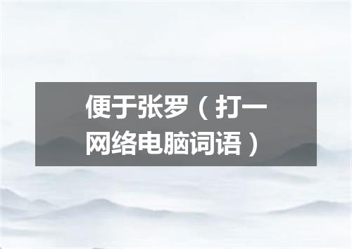 便于张罗（打一网络电脑词语）