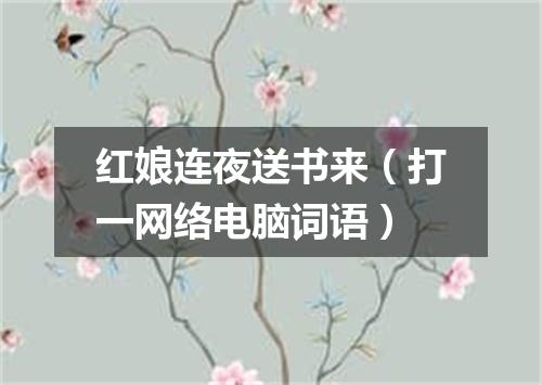 红娘连夜送书来（打一网络电脑词语）
