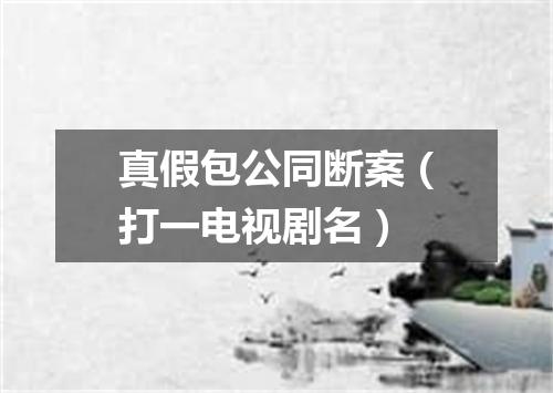 真假包公同断案（打一电视剧名）