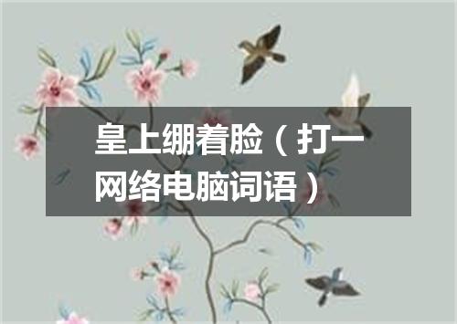 皇上绷着脸（打一网络电脑词语）