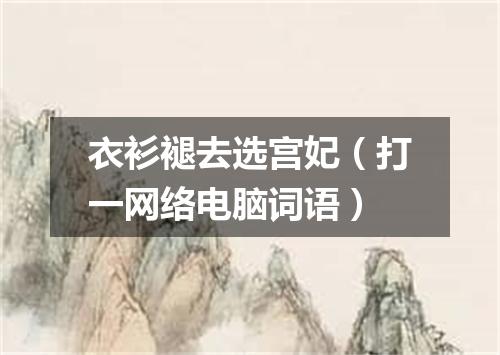 衣衫褪去选宫妃（打一网络电脑词语）