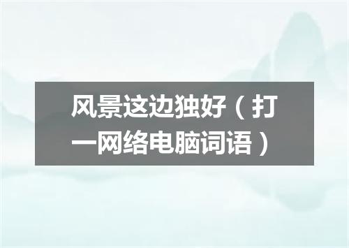 风景这边独好（打一网络电脑词语）