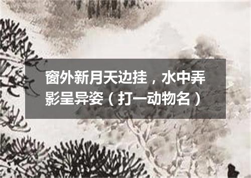 窗外新月天边挂，水中弄影呈异姿（打一动物名）