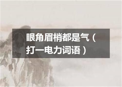眼角眉梢都是气（打一电力词语）