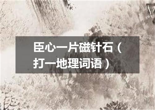 臣心一片磁针石（打一地理词语）