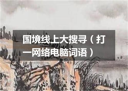 国境线上大搜寻（打一网络电脑词语）
