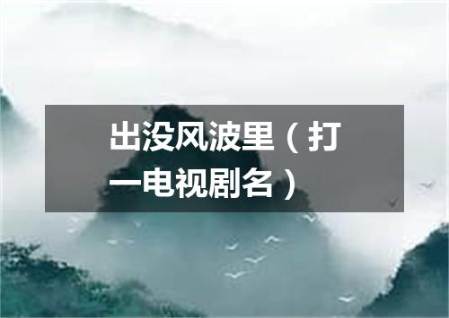 出没风波里（打一电视剧名）