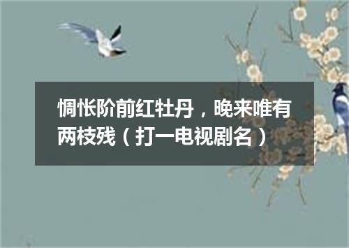 惆怅阶前红牡丹，晚来唯有两枝残（打一电视剧名）