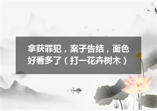 拿获罪犯，案子告结，面色好看多了（打一花卉树木）